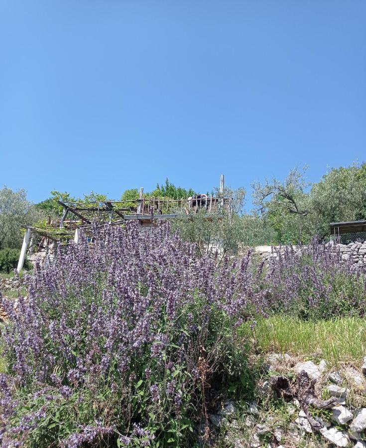 Casa Delle Olive Villa Moscenicka Draga Exterior photo